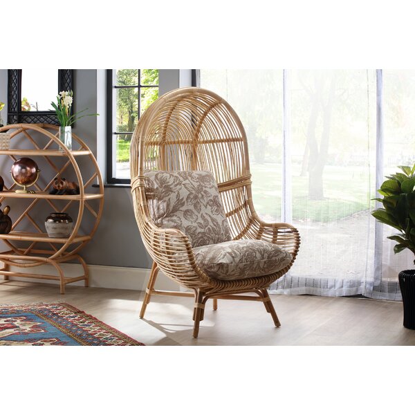 Wayfair shop peacock chair